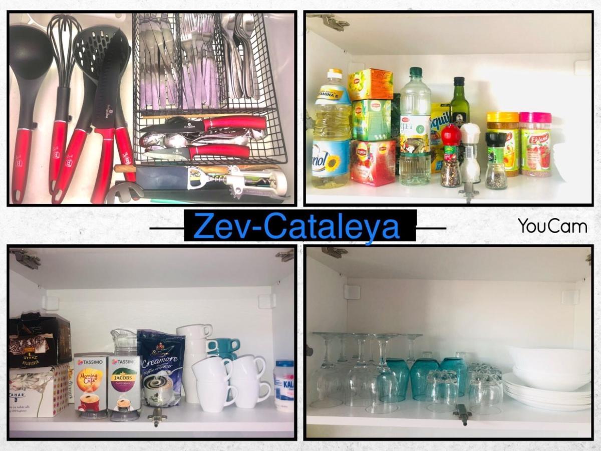 Zev- Cataleya Mamaia Nord Lejlighed Năvodari Eksteriør billede